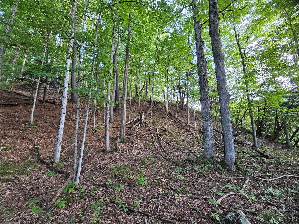 Old State Rd