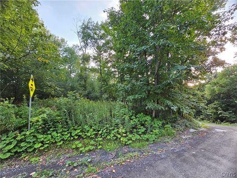 Vacant Land For Sale - Old State Rd<br/> Denmark, NY 13619