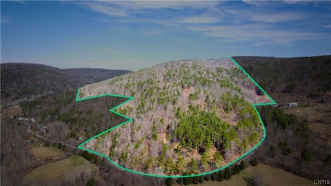 Vacant Land For Sale - 285 Patria Road<br/> Fulton, NY 12187