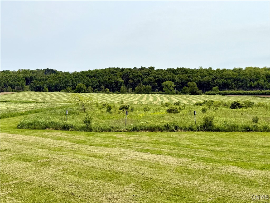 730 Banner Road, Tully, New York image 36