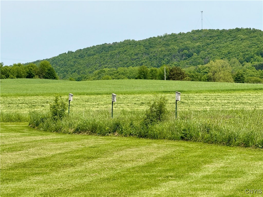 730 Banner Road, Tully, New York image 27