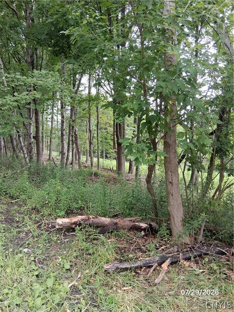 Tiny photo for 90 Skye Island Drive, Union, NY 13760 (MLS # S1702042)