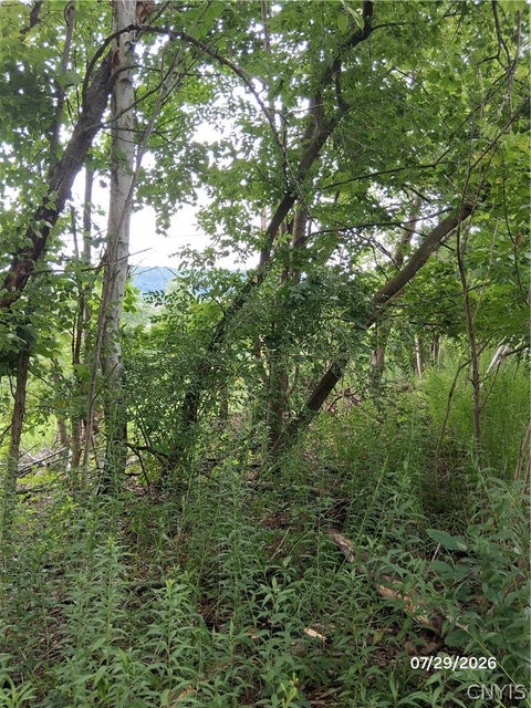 Tiny photo for 90 Skye Island Drive, Union, NY 13760 (MLS # S1702042)