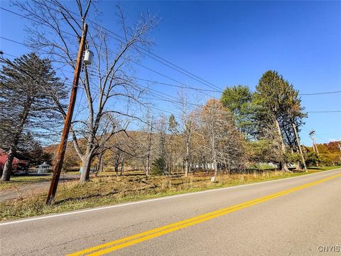 Vacant Land For Sale - Olcott Road<br/> Big Flats, NY 14814