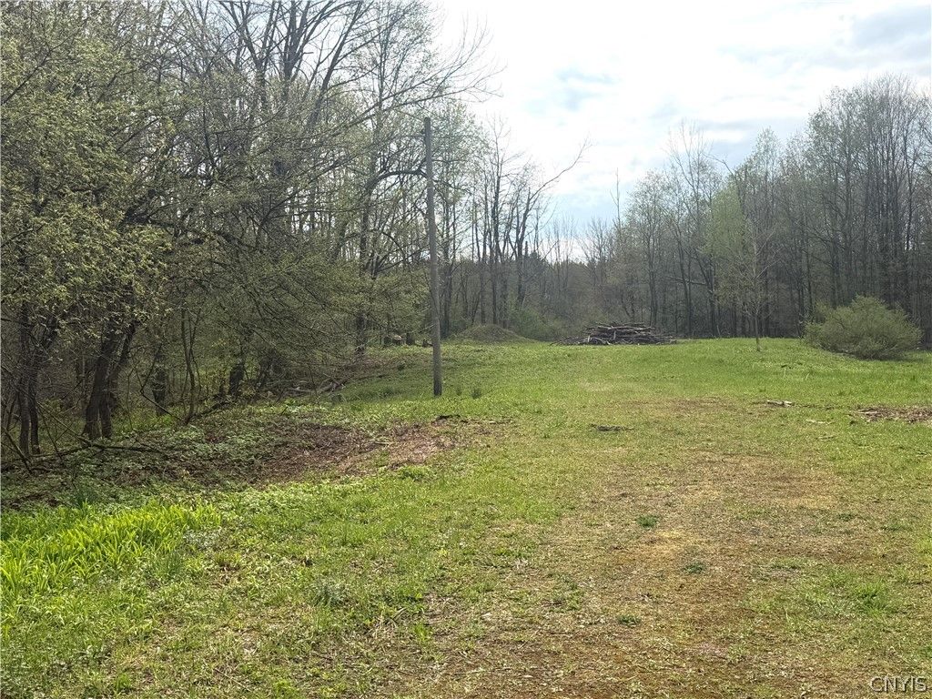 Photo of 83 Van Auken Road, Boylston, NY 13083 (MLS # S1679463)