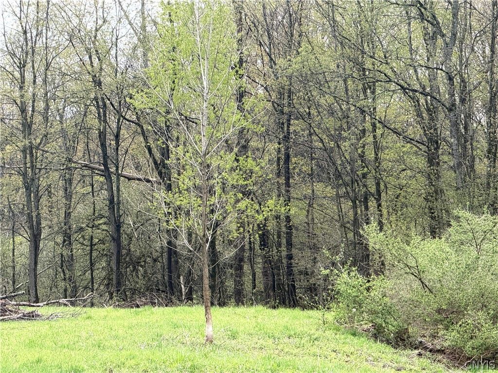 Photo of 83 Van Auken Road, Boylston, NY 13083 (MLS # S1679463)