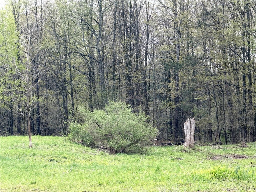Photo of 83 Van Auken Road, Boylston, NY 13083 (MLS # S1679463)