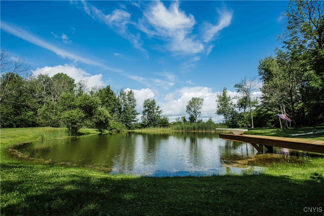 4692 Murphy Road, Tully, New York image 10