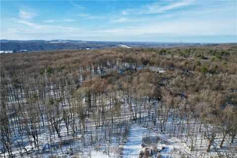 Tiny photo for 00 Route 92, Cazenovia, NY 13035 (MLS # S1655443)