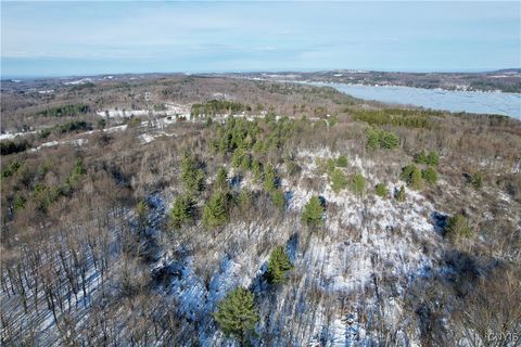 Tiny photo for 00 Route 92, Cazenovia, NY 13035 (MLS # S1655443)