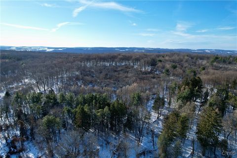 Tiny photo for 00 Route 92, Cazenovia, NY 13035 (MLS # S1655443)