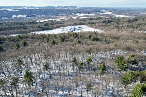 Tiny photo for 00 Route 92, Cazenovia, NY 13035 (MLS # S1655443)