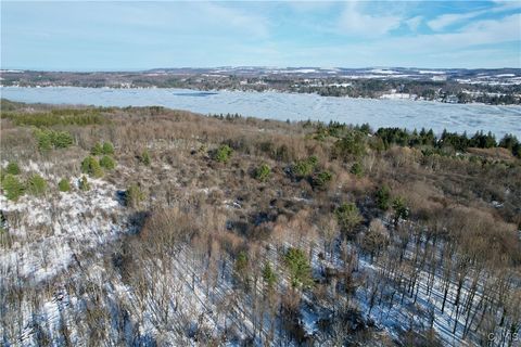 Tiny photo for 00 Route 92, Cazenovia, NY 13035 (MLS # S1655443)