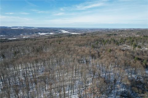 Tiny photo for 00 Route 92, Cazenovia, NY 13035 (MLS # S1655443)