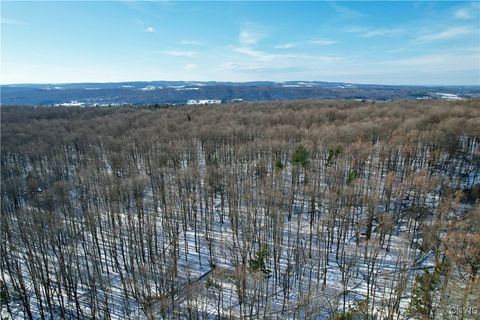 Tiny photo for 00 Route 92, Cazenovia, NY 13035 (MLS # S1655443)