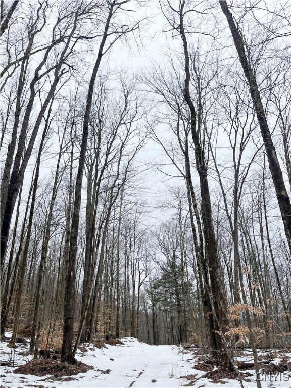 Thorpe Road, Sidney, New York image 7