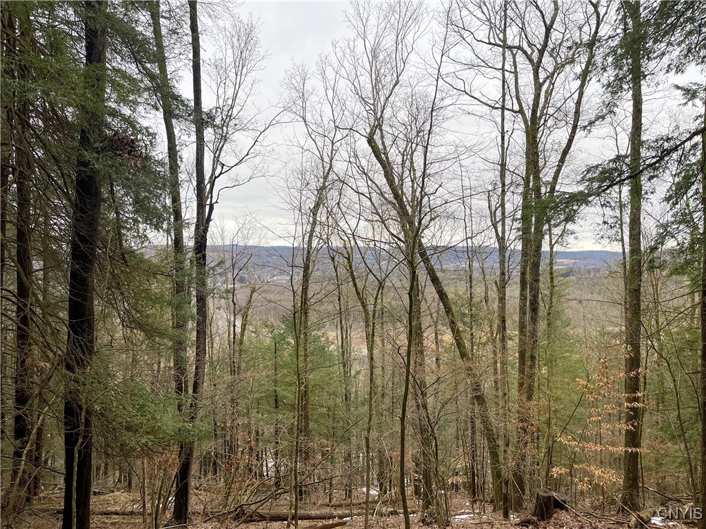 Thorpe Road, Sidney, New York image 5