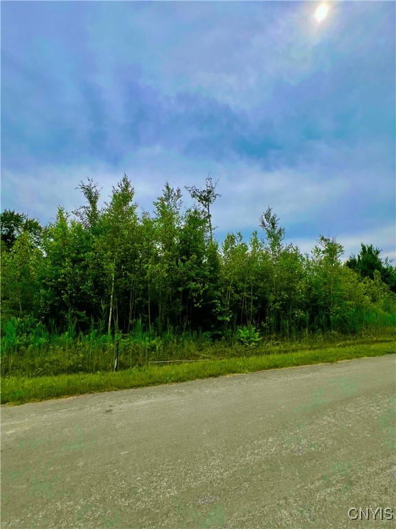 Lot 5 Forest Ridge Drive