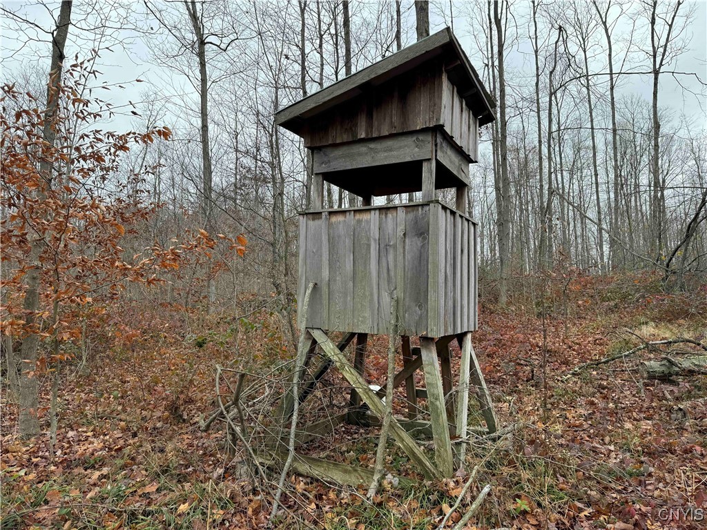 Dry Brook Road, Ellington, New York image 1