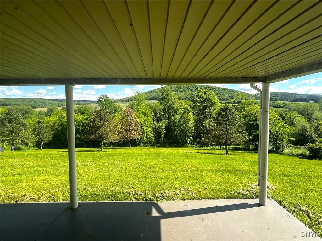 7290 State Route 80, Fabius, New York image 23