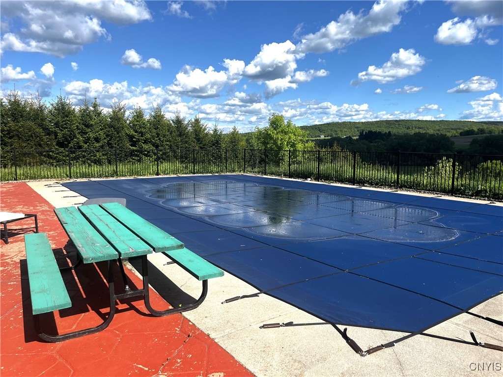 7290 State Route 80, Fabius, New York image 20
