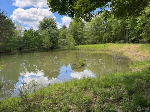 676 Main Street Limestone NY 14753