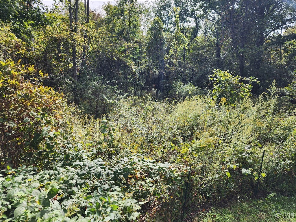 15088 W Creek Road, Sterling, New York image 33