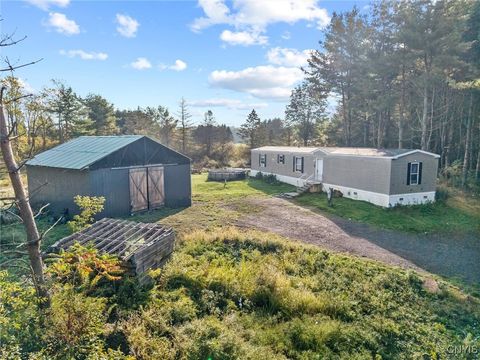 Homes For Sale - 260 Hinman Road<br/> Richland, NY 13142