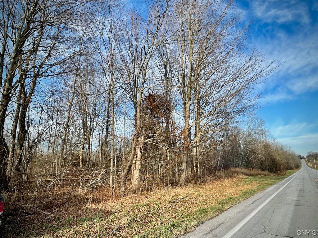 State Route 104a Road, Sterling, New York image 1