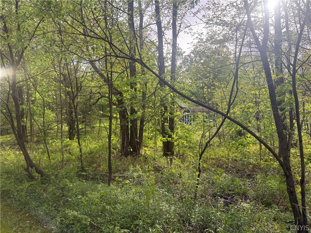 Lot #9 Lost Ridge Road 9