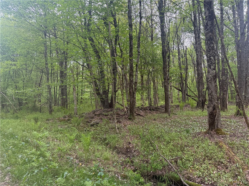 Lot #9 Lost Ridge Road 9