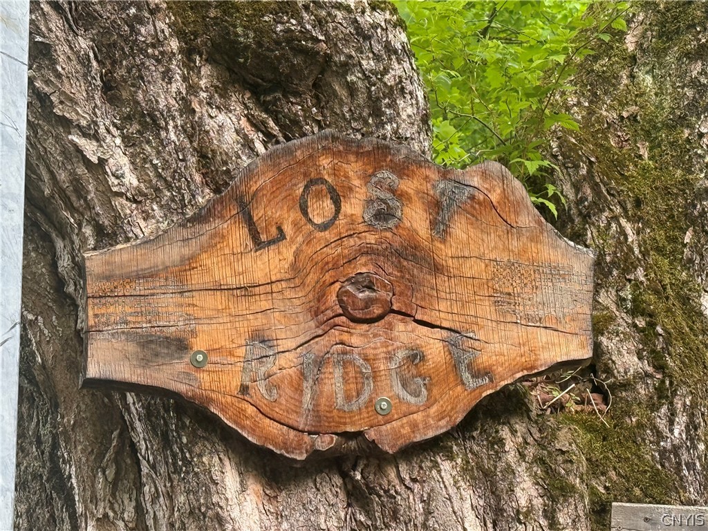 Lot #9 Lost Ridge Road 9