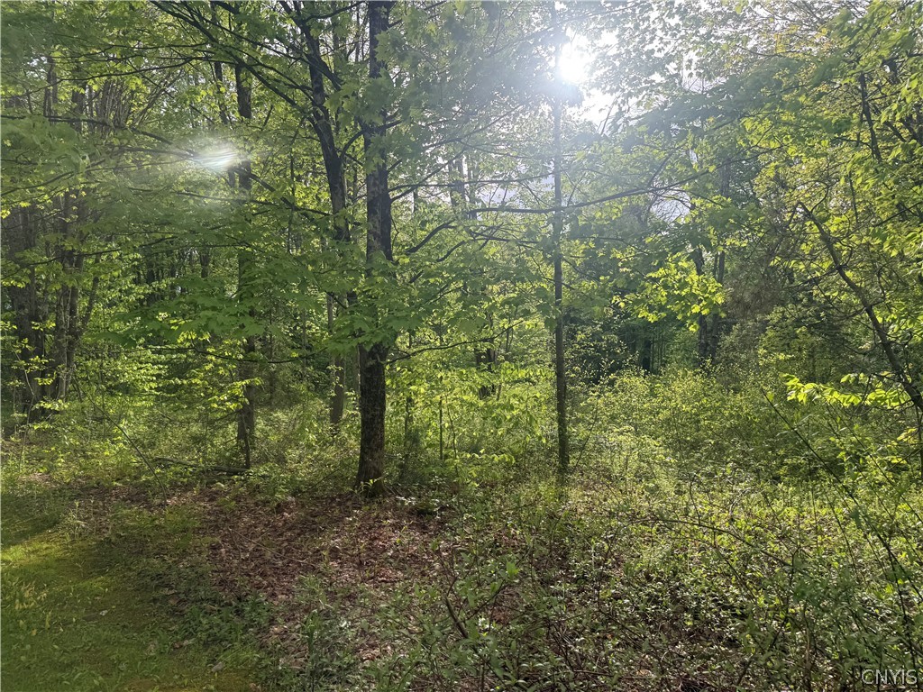 Lot #9 Lost Ridge Road 9