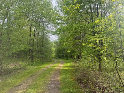 Vacant Land For Sale - LOT #9 Lost Ridge Road #9<br/> Florence, NY 13316