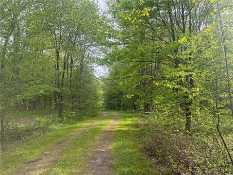 Lot #9 Lost Ridge Road 9 Camden NY 13316
