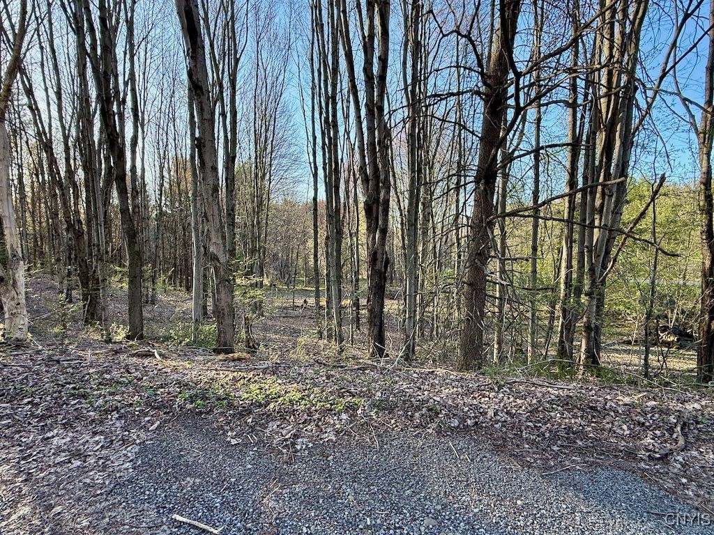 529 County Route 22a, Sandy Creek, New York image 40