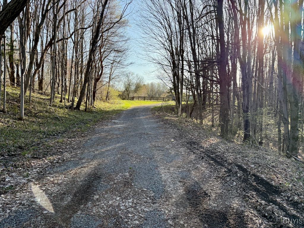 529 County Route 22a, Sandy Creek, New York image 38
