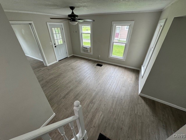 205 Franklin Street, Brownville, New York image 7