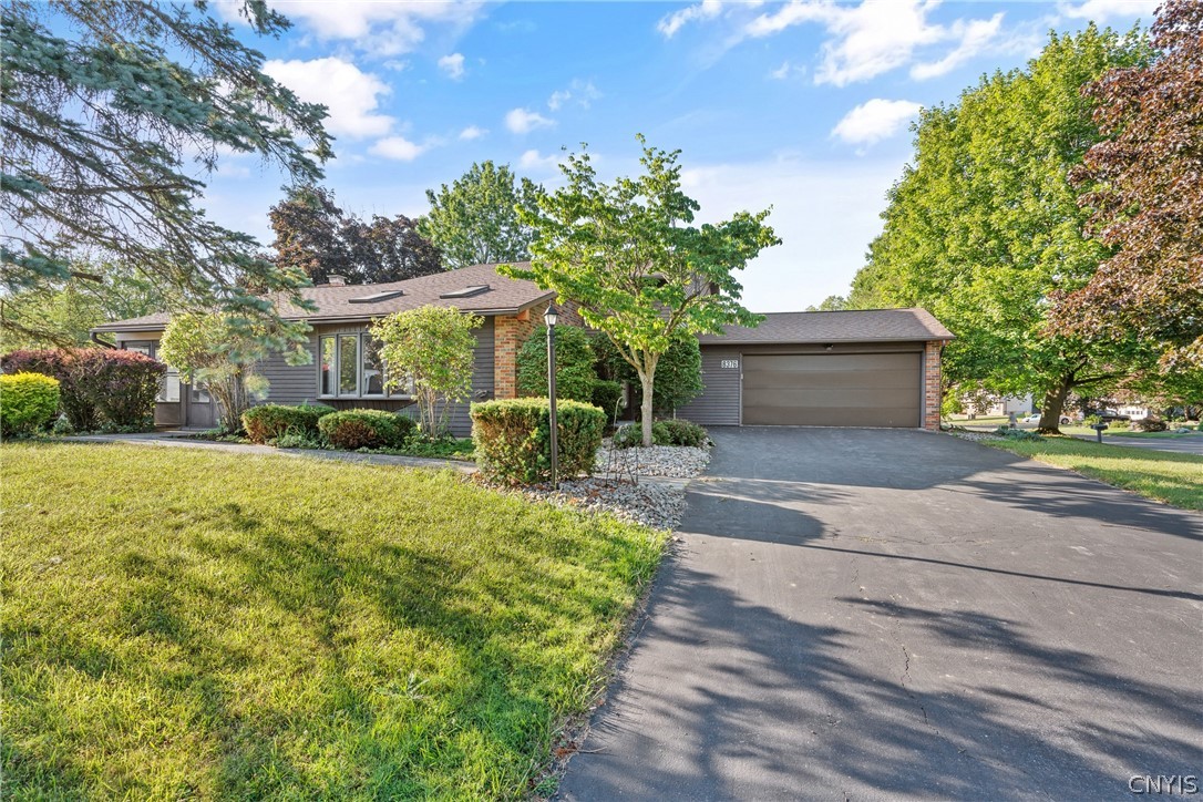 8376 Zenith Drive