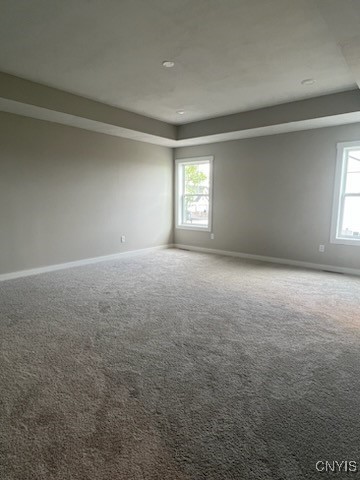 9666 Kenzie Grace Path, Clay, New York image 15