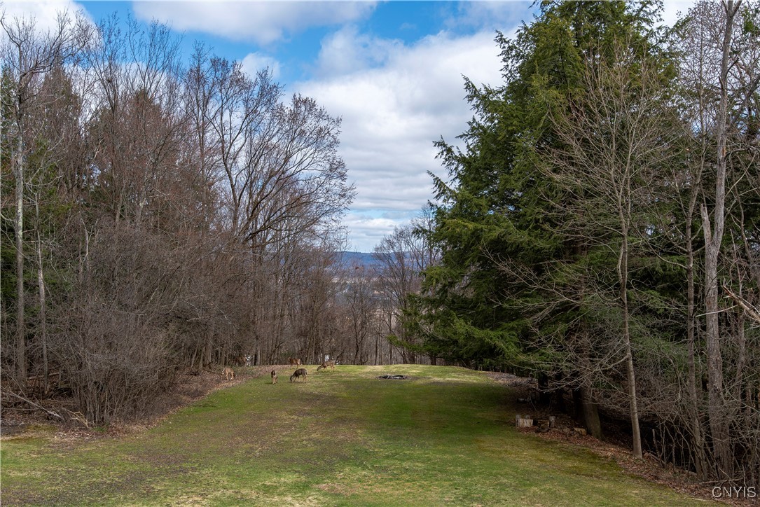 36 South Hills Drive, New Hartford, New York image 12