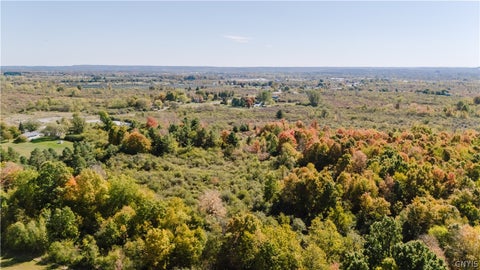 Vacant Land For Sale - Ny State Route 12<br/> Pamelia, NY 13637