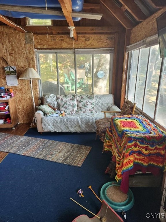 Rusho Bay, Clayton, New York image 10