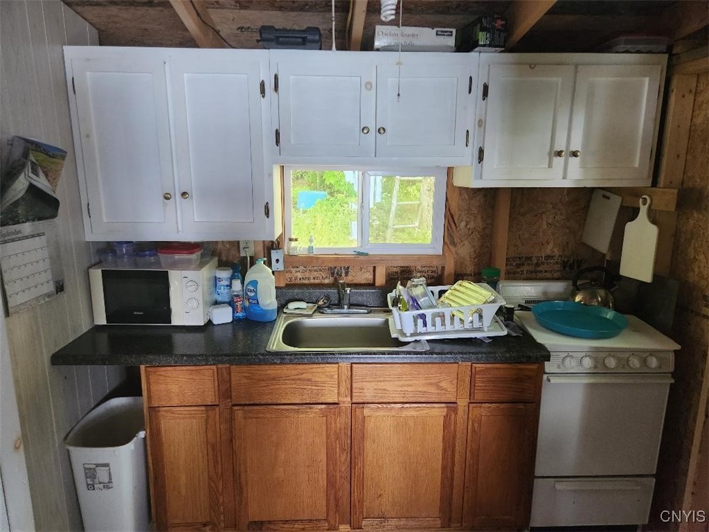 Rusho Bay, Clayton, New York image 6