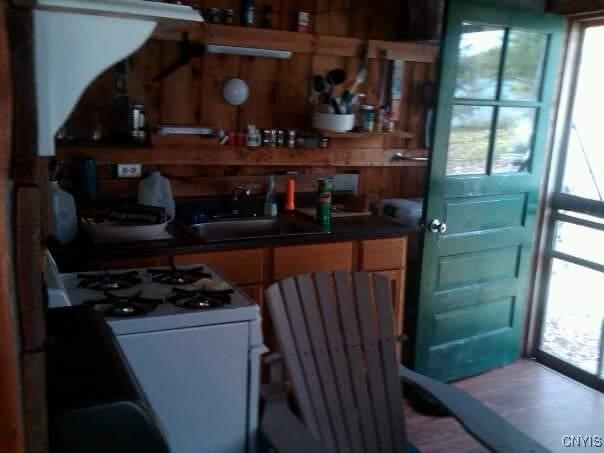 Rusho Bay, Clayton, New York image 8