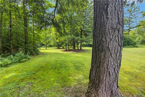 Tiny photo for 1 Buckingham RD, Ohio, NY 13324 (MLS # S1705502)