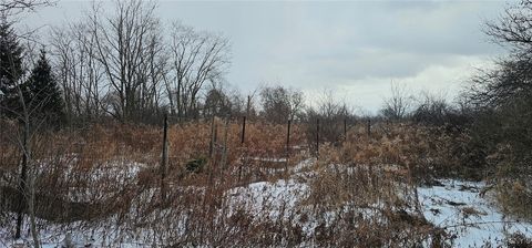 Tiny photo for 5596 County Road 1, Hector, NY 14886 (MLS # S1656310)