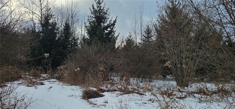 Tiny photo for 5596 County Road 1, Hector, NY 14886 (MLS # S1656310)