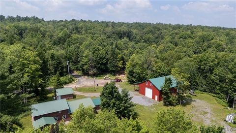 10424 Riggerman Road, Russia, NY 13438 - #: S1622474