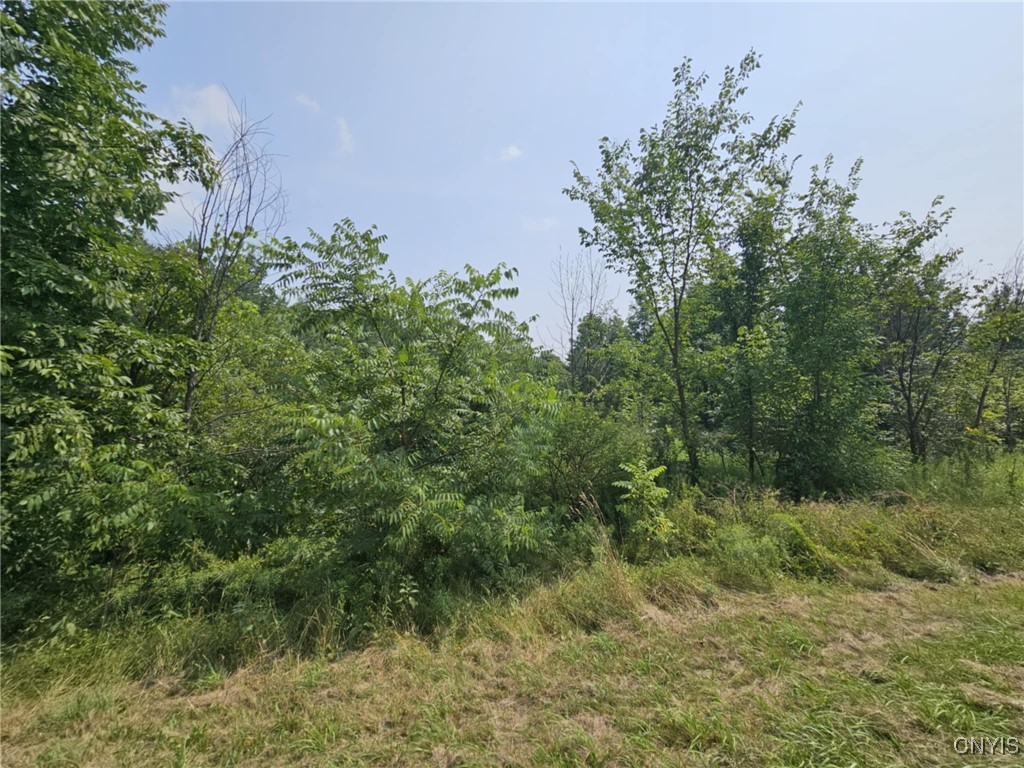 County Route 37